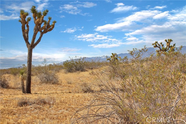 Detail Gallery Image 1 of 1 For 2815 Palmdale Rd, Pinon Hills,  CA 92372 - – Beds | – Baths