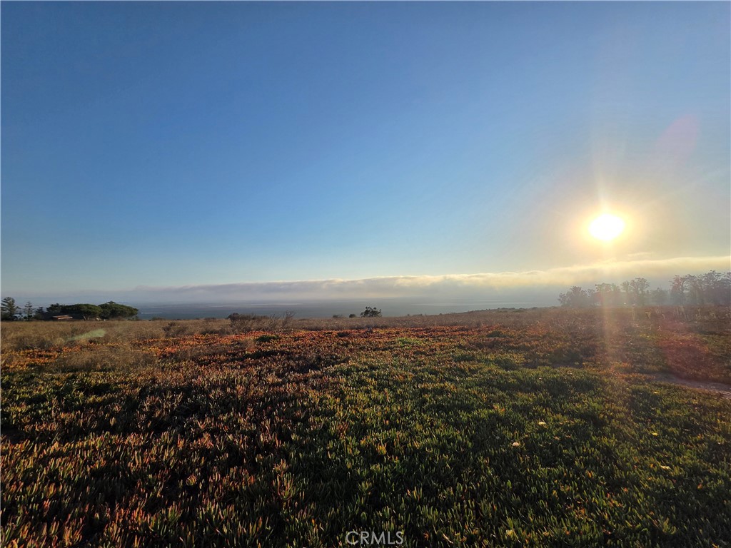 MLS #SC26219314 image #52
