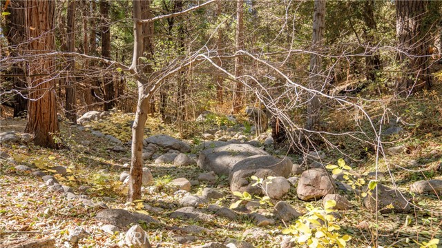 Detail Gallery Image 47 of 48 For 25201 Fern Valley Rd, Idyllwild,  CA 92549 - 1 Beds | 1 Baths