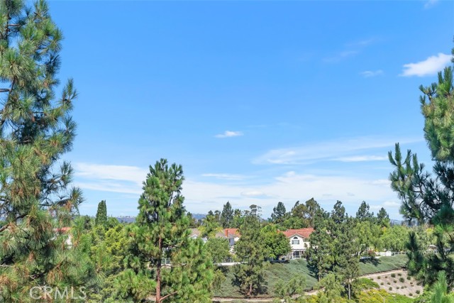 25 Niguel Pointe, Laguna Niguel CA: https://media.crmls.org/medias/3b6bcf1d-1666-458f-82e4-5be4300934db.jpg