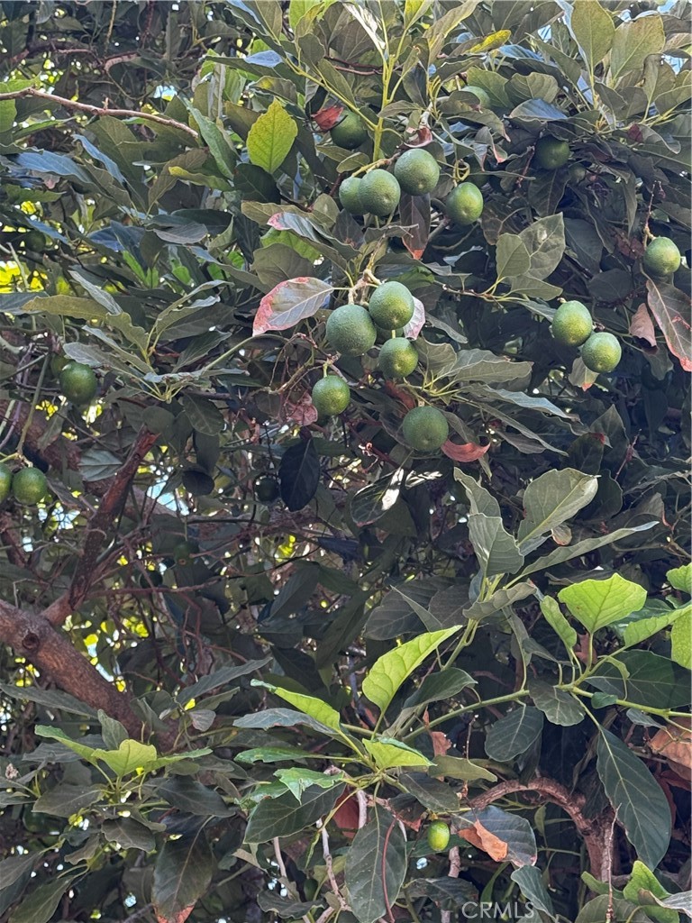 https://media.crmls.org/medias/3b73c6b5-e045-484b-8c3e-f26194d861f0.jpg?preset=X-Large