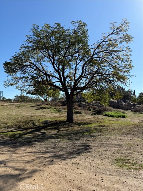 Front Image Thumbnail for CRDW25269277