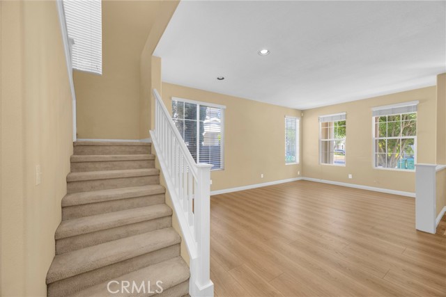Stairs/ designer carpet