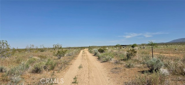 Front Image Thumbnail for CRSR26084991