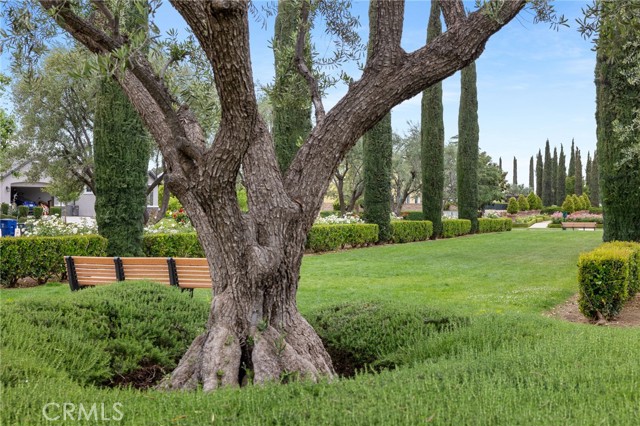 5206 Village Green Lane, Bakersfield CA: https://media.crmls.org/medias/3b80881d-fe87-4a2f-9375-3d5314a7a364.jpg