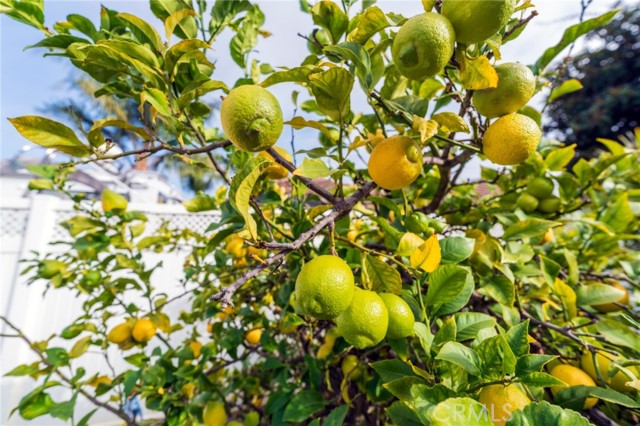 Detail Gallery Image 33 of 33 For 10092 Dana Dr, Huntington Beach,  CA 92646 - 3 Beds | 2 Baths