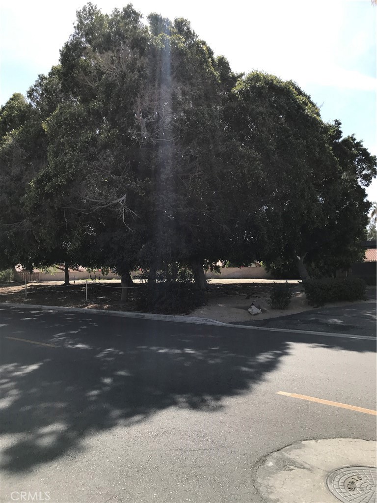 MLS #SW25056920 image #7