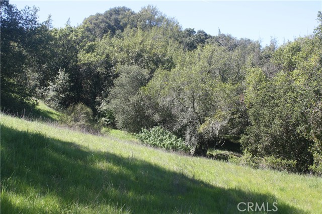 12000 San Marcos Road, Atascadero, California 93422, ,Land,For Sale,12000 San Marcos Road,CRNS22062172