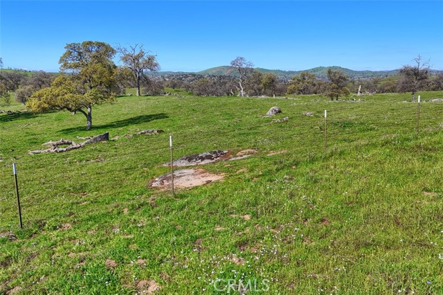 Detail Gallery Image 5 of 19 For 0 39.89 Ac Road 613, Raymond,  CA 93653 - – Beds | – Baths