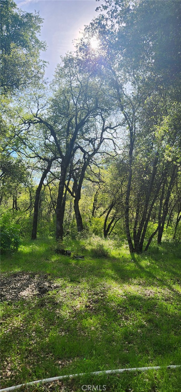 Detail Gallery Image 9 of 23 For 13566 Helltown Parcel 1, Chico,  CA 95928 - – Beds | – Baths