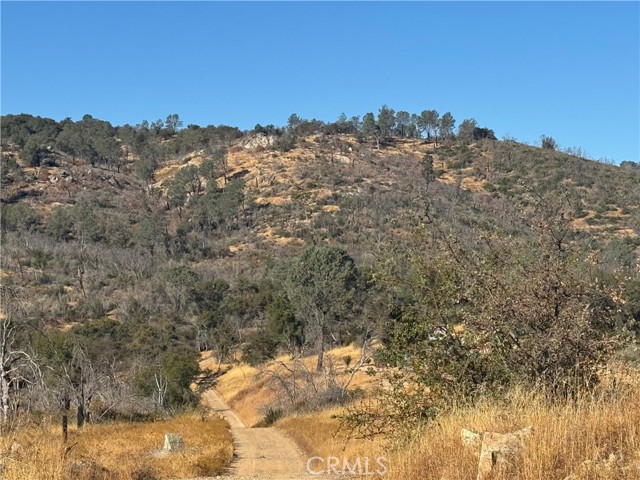 Catheys Valley, CA 95306