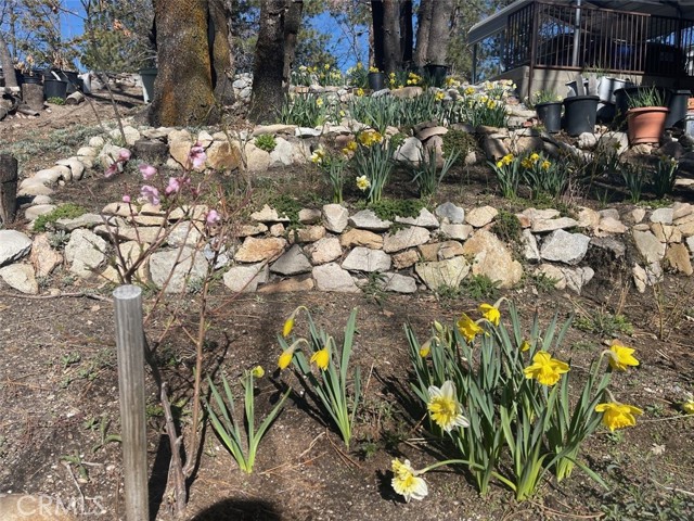 Detail Gallery Image 8 of 42 For 32765 Cougar, Arrowbear,  CA 92382 - 3 Beds | 1 Baths