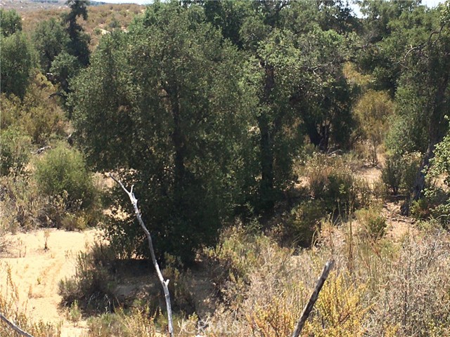 Detail Gallery Image 6 of 26 For 35010 Willow Creek Rd., Hemet,  CA 92544 - – Beds | – Baths