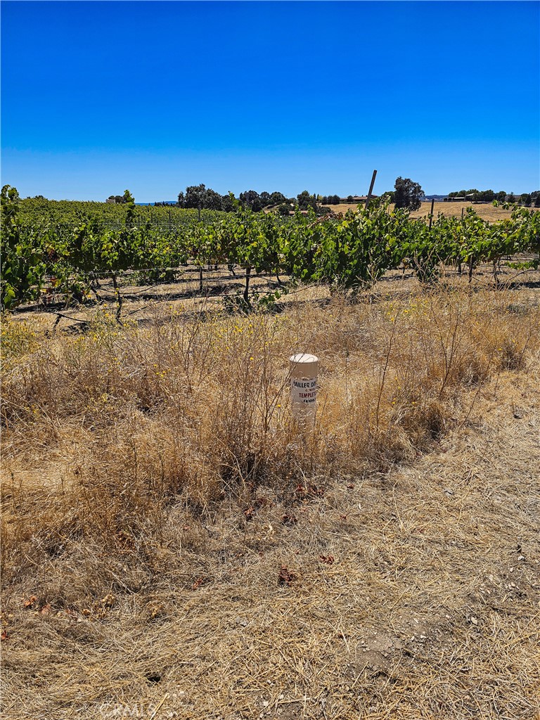 34 Paint Horse Place