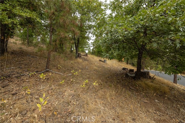 Detail Gallery Image 30 of 55 For 26 Timberview, North Fork,  CA 93643 - – Beds | – Baths