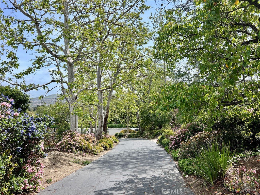 MLS #OC25069690 img 4