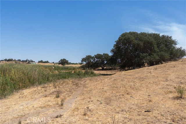 Detail Gallery Image 10 of 25 For 0 Creston Rd, Paso Robles,  CA 93446 - – Beds | – Baths