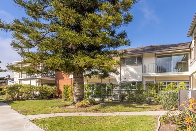 23026 Nadine Circle, Torrance CA: https://media.crmls.org/medias/3ba1ef84-5d9b-4e1a-98ef-fda8fd026580.jpg