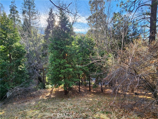 0 Basel Drive, Crestline CA: https://media.crmls.org/medias/3ba2de01-9303-4624-aaf5-02696d3a2313.jpg