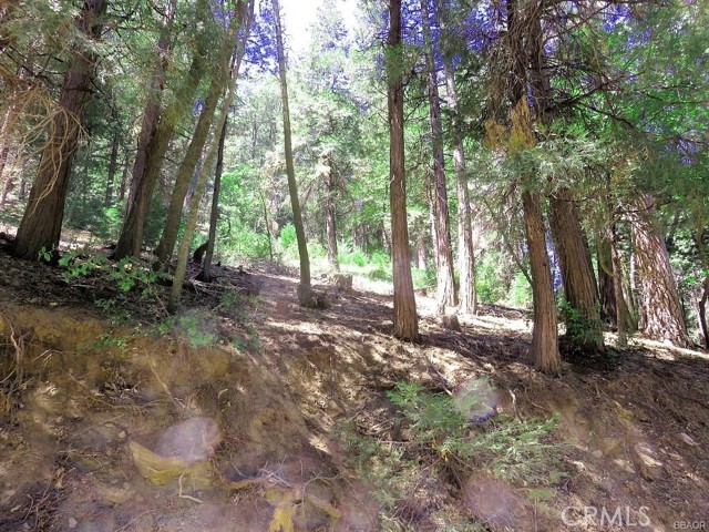 8 Mojave River Road, Cedarpines Park, California 92322, ,Land,For Sale,8 Mojave River Road,CREV22198971