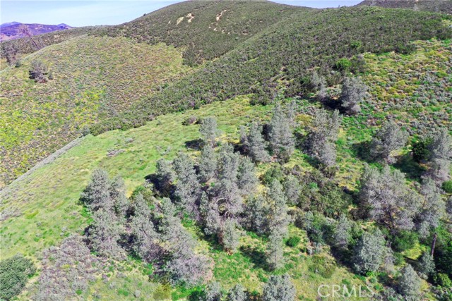 Detail Gallery Image 7 of 14 For 160 Nw Lockwood San Ardo Rd, Lockwood,  CA 93932 - – Beds | – Baths