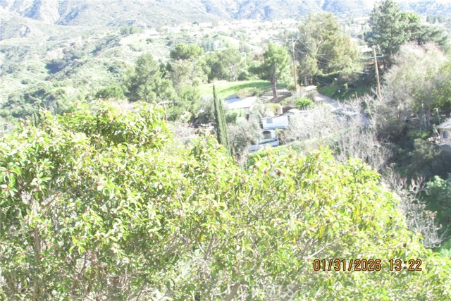 Detail Gallery Image 16 of 51 For 8001 Denivelle Rd., Sunland,  CA 91040 - – Beds | – Baths