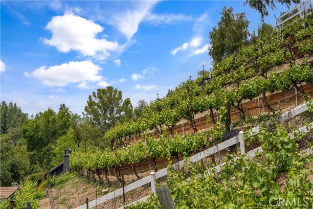 Detail Gallery Image 36 of 47 For 5558 Hoback Glen Rd, Hidden Hills,  CA 91302 - 5 Beds | 5 Baths