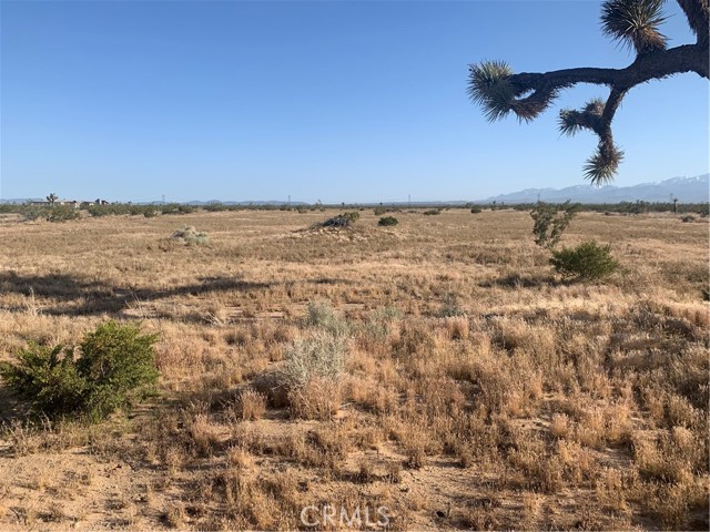 Detail Gallery Image 20 of 23 For 0 Poppy Rd, Adelanto,  CA 92301 - – Beds | – Baths