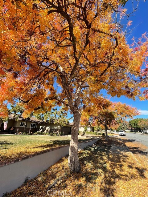 Autumn street view nearby