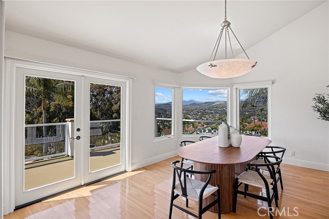 1110 Novilunio, San Clemente CA: https://media.crmls.org/medias/3bb0155b-3cb2-4dc4-8f51-c43b294e01ae.jpg