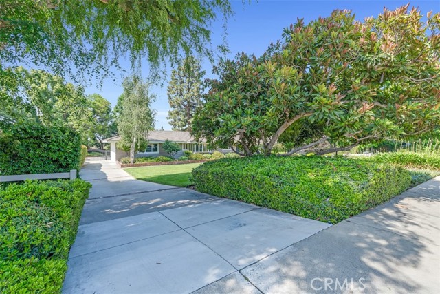 252 W 15th Street, Upland CA: https://media.crmls.org/medias/3bb489a7-3a34-43bf-ac4f-b92416a139b4.jpg