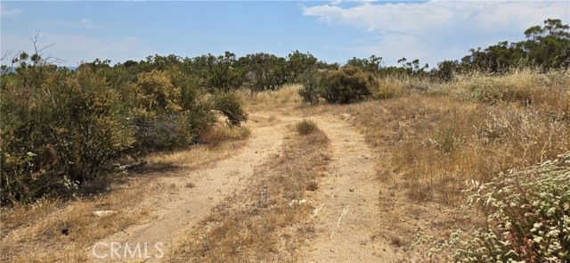 1011 Roan Way, Aguanga, California 92536, ,Land,For Sale,1011 Roan Way,CRSW24143304