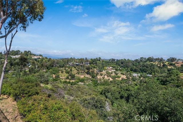 15464 Duomo Via Street, Bel Air CA: https://media.crmls.org/medias/3bba580a-70b2-4f4c-8bc7-91958de61d8a.jpg