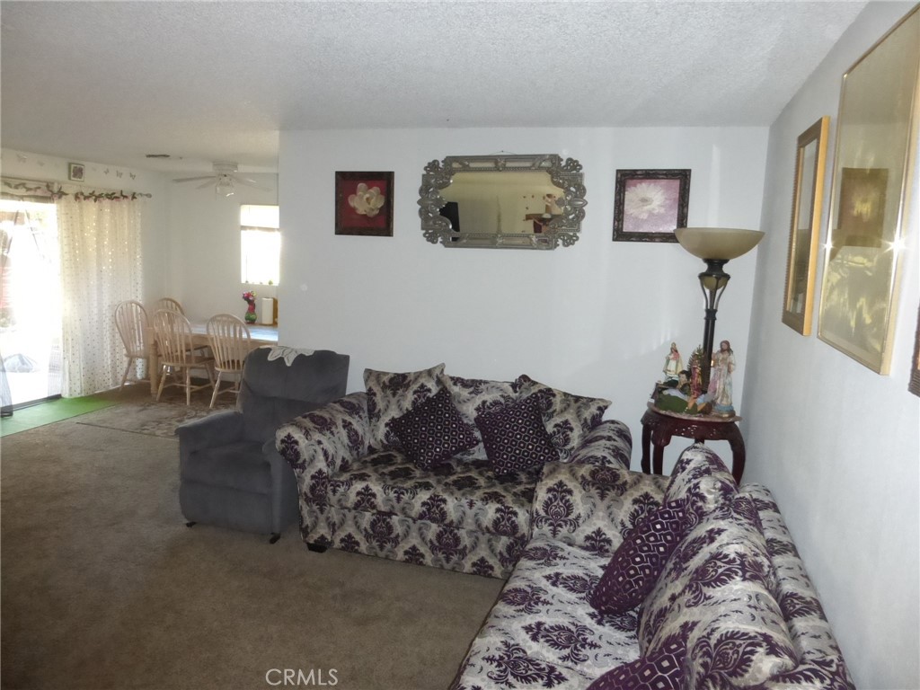 523 Palm Court