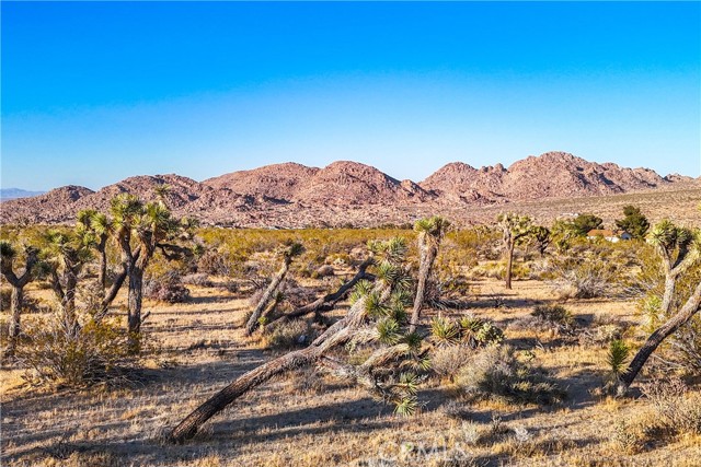 Detail Gallery Image 48 of 55 For 8173 Fleur Dr, Joshua Tree,  CA 92252 - 2 Beds | 3 Baths