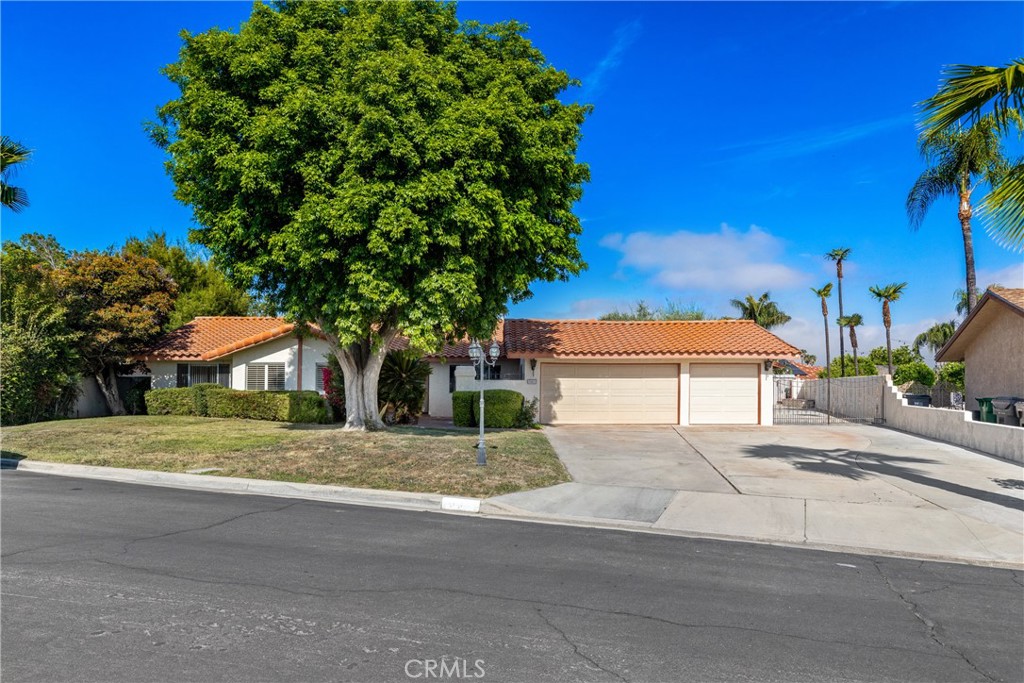 25933 San Leandro Court