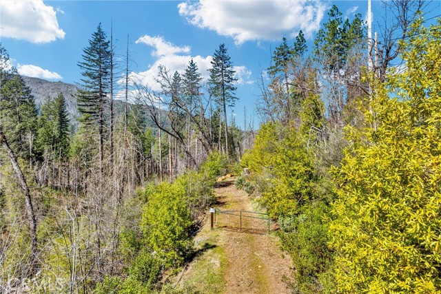 Front Image Thumbnail for CRLC26053167