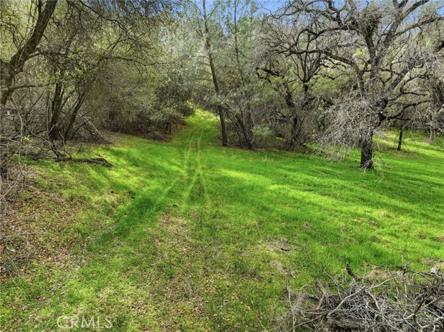 Detail Gallery Image 2 of 23 For 0 Lookout Moumtain, Mariposa,  CA 95338 - – Beds | – Baths