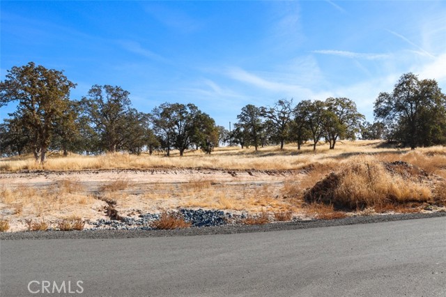 0 .62 AC Wisteria Way, O'Neals CA: https://media.crmls.org/medias/3bd81655-138a-4bbe-954a-7a415795cac7.jpg