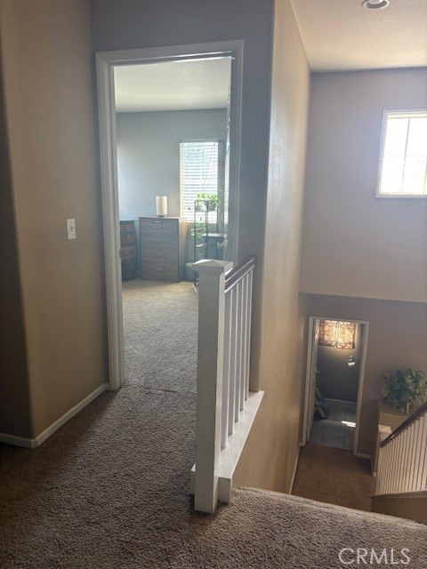 1446 Avila Drive, Perris CA: https://media.crmls.org/medias/3bd81e33-ff70-4b14-b41e-e89763fc4a8d.jpg