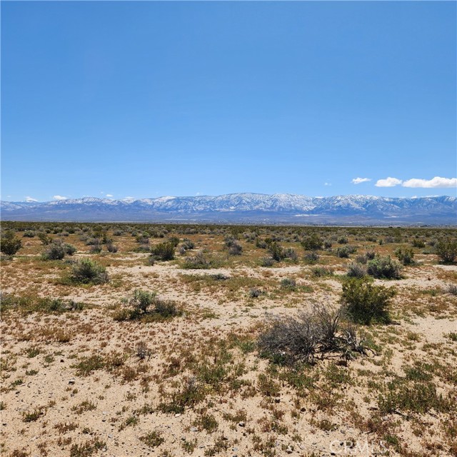 Detail Gallery Image 4 of 7 For 45215138 Near Fairlane, Lucerne Valley,  CA 92356 - – Beds | – Baths