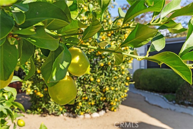 Detail Gallery Image 32 of 36 For 30396 Danube Ct, Temecula,  CA 92591 - 4 Beds | 2 Baths