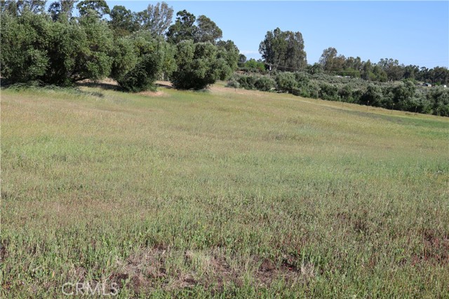 Detail Gallery Image 14 of 32 For 0 Carona Ave., Corning,  CA 96021 - – Beds | – Baths