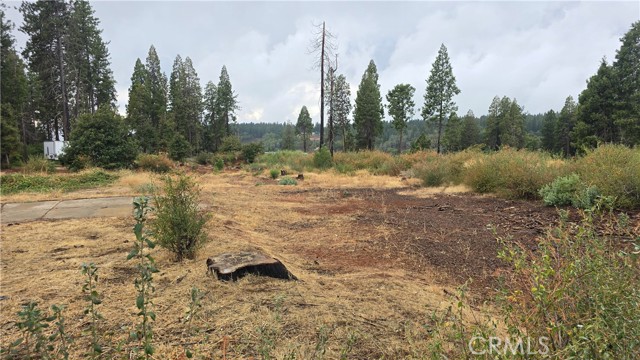 Detail Gallery Image 4 of 9 For 6167 Ponderosa, Magalia,  CA 95954 - – Beds | – Baths