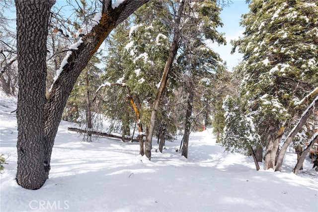 Detail Gallery Image 27 of 28 For 1184 Teton Dr, Big Bear Lake,  CA 92315 - 3 Beds | 2/1 Baths