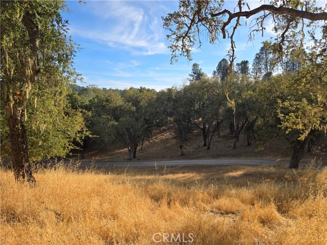 Detail Gallery Image 6 of 7 For 5505 Whispering Pines Ln, Paso Robles,  CA 93446 - 2 Beds | 1 Baths