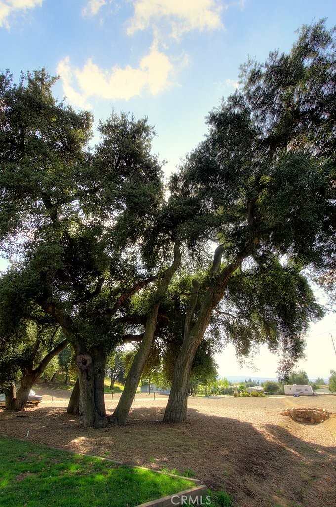 MLS #IG25034144 img 28