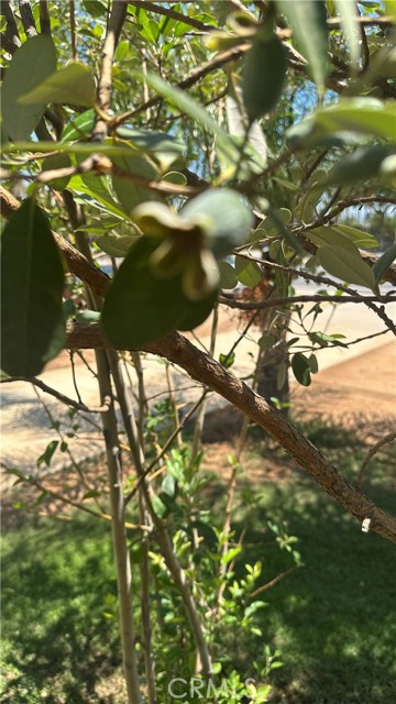 Detail Gallery Image 19 of 19 For 11073 Arlington Ave, Riverside,  CA 92505 - – Beds | – Baths