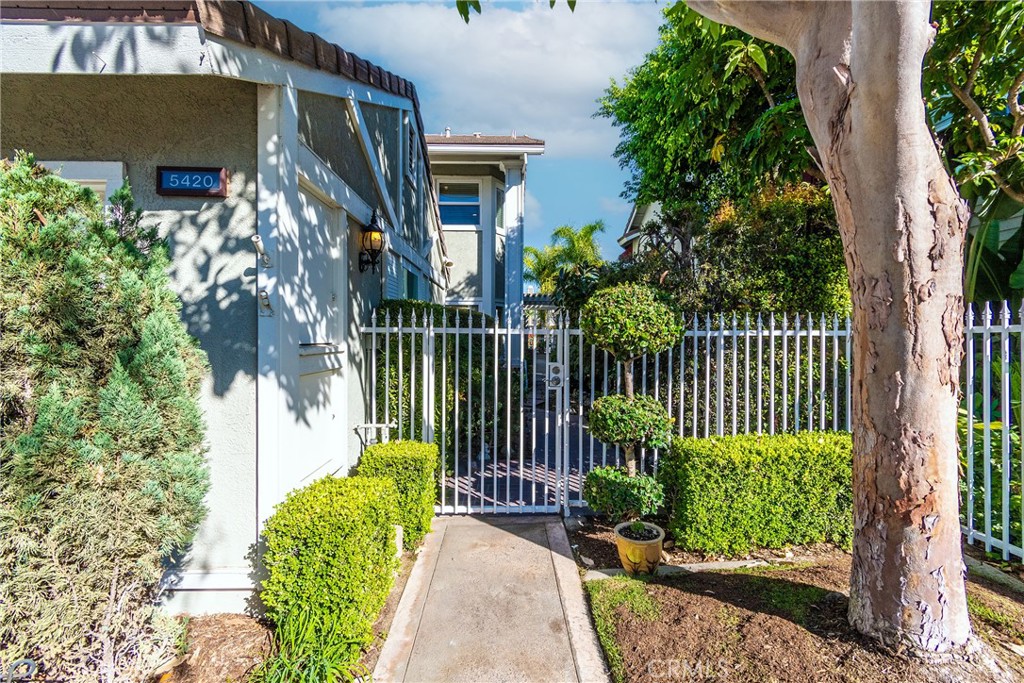 3bf2e6f8 2d68 4847 A9c8 4ca758f8dd33