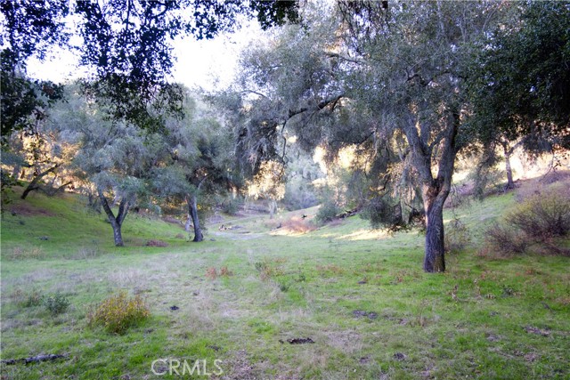 Detail Gallery Image 15 of 18 For 0 Huasna Rd, Arroyo Grande,  CA 93420 - – Beds | – Baths